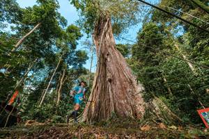 BIB: 
                            <button type="button" onclick="openModal(21898898)" class="btn btn-primary btn-sm float-right btn-popup" data-toggle="modal" data-target=".modal-high-quality">
                        <i class="fas fa-shopping-cart"></i> Add to Cart
                    </button>
                                            <button type="button" onclick="isThisMe(21898898, true)" class="btn btn-success btn-sm float-right btn-popup btn-isme hidden" data-toggle="tooltip" data-placement="bottom" title="นี่คือรูปของคุณใช่ไหม คลิกที่นี่เพื่อเอาเข้าอัลบั้ม">
                        <i class="fas fa-plus"></i> Add to album
                    </button>
                    <button type="button" onclick="isThisMe(21898898, false)" class="btn btn-warning btn-sm float-right btn-popup btn-isnotme hidden">
                        <i class="fas fa-ban"></i> Remove from album
                    </button>